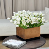 TULIPS1 TULIPS1