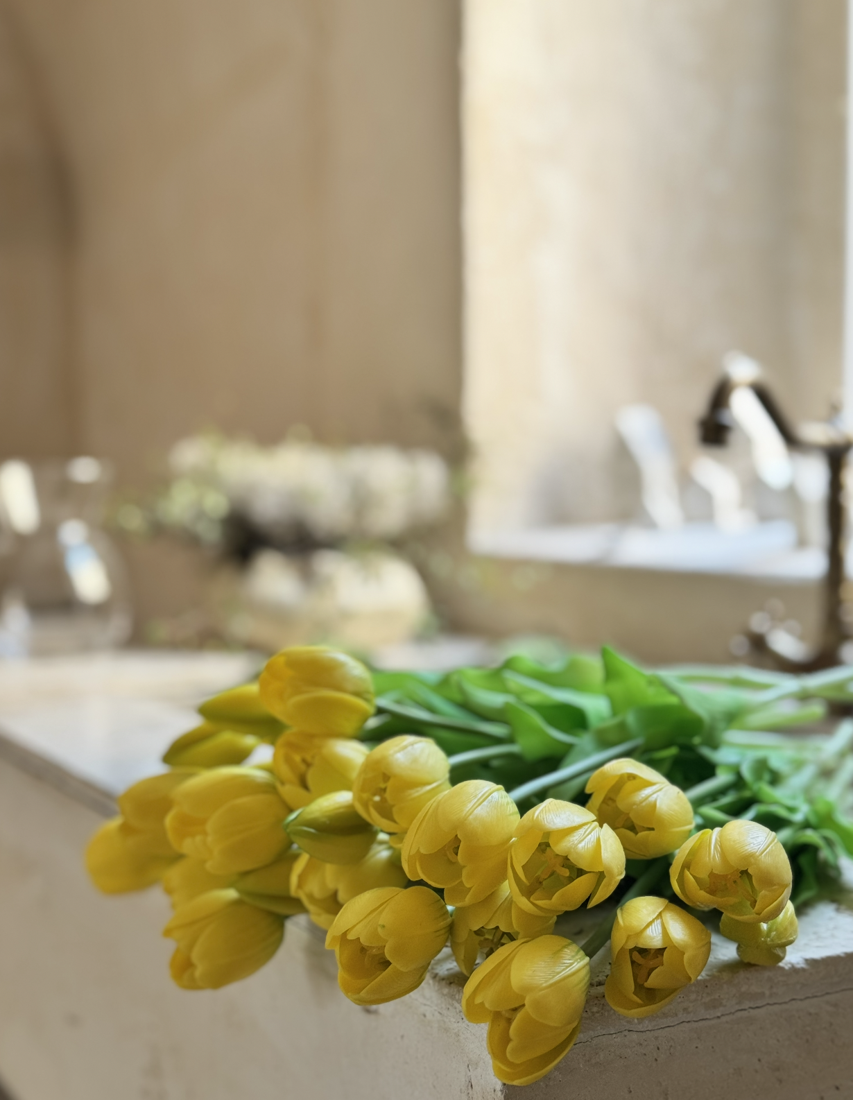 TULIPS8