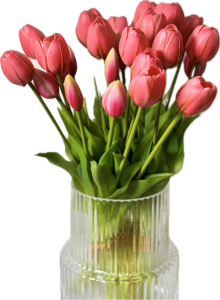 main_tulips
